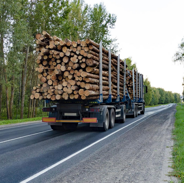 Timber Transportation