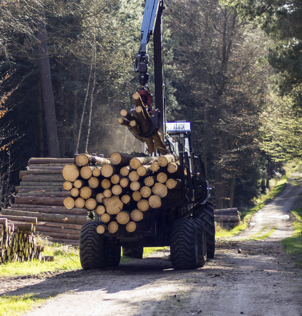 Forestry Logistics