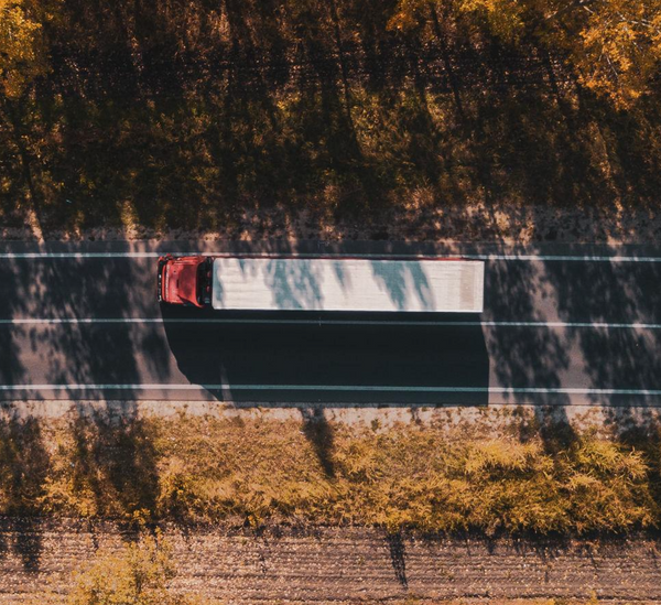 Long-Distance Transport